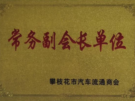2010-攀枝花市汽车流通商會(huì)副會(huì)長(cháng)单位