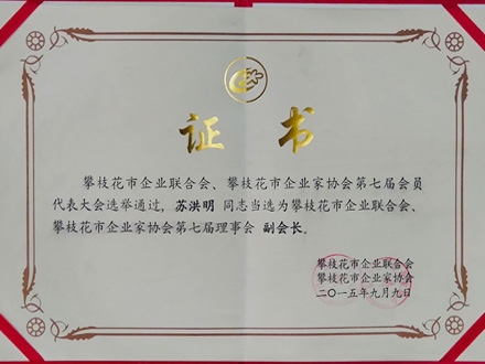 2015-企业联合會(huì)副會(huì)長(cháng)
